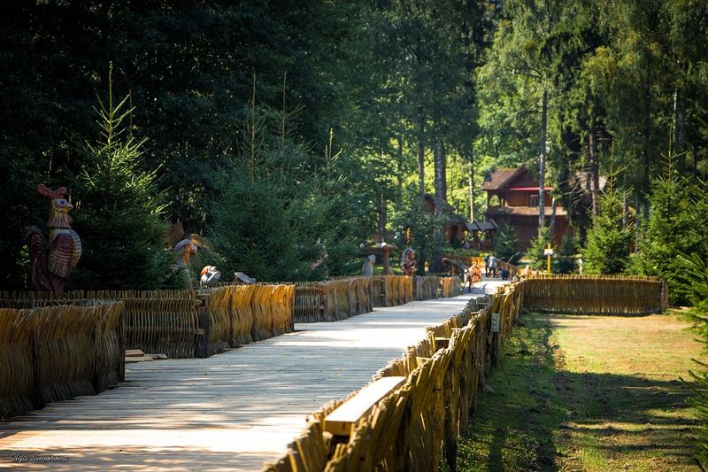 Поместье белорусского Деда Мороза в Каменюках (Беловежская пуща)