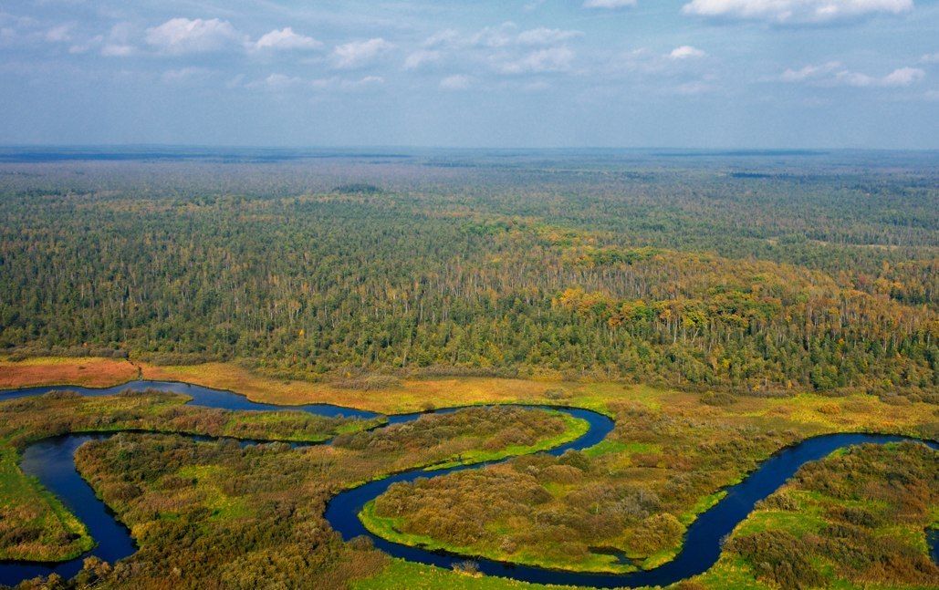 Березинский биосферный заповедник