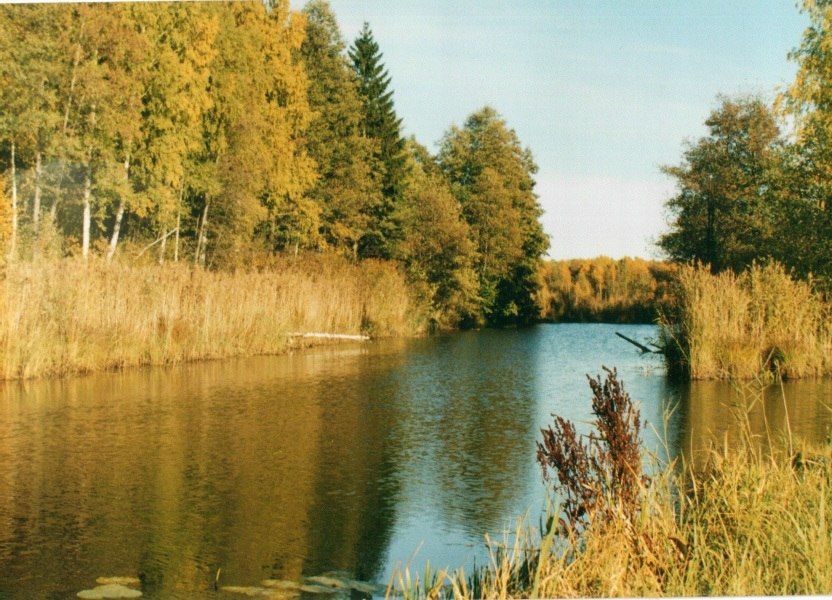 Березинский биосферный заповедник