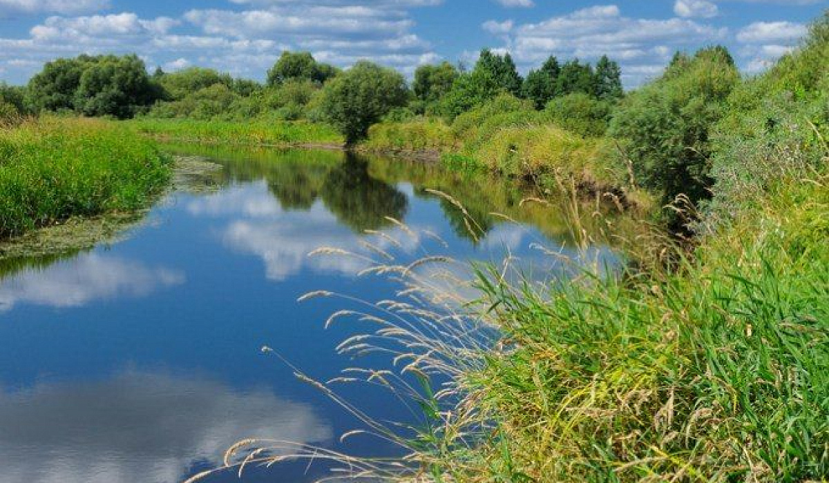 Березинский биосферный заповедник